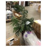 1 LOT SILK TREE