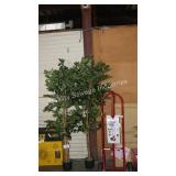 2 decorative trees
