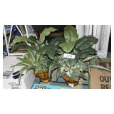 2 silk plant pots