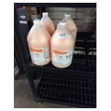 1 LOT (4) 1 GALLON SKIN & HAIR CLEANSER