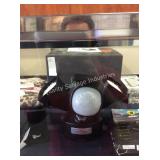 1 LOT RING FLLOD LIGHT WIRED (DISPLAY)