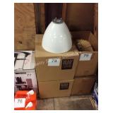 2 CTN DELRAY LIGHTING