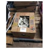 1 CTN 12 SURGE PROTECTORS