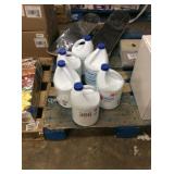1 LOT 6 1-GAL BLEACH