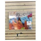 2 CTN PAINT BY NUMBER ON CANVAS