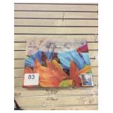 2 CTN PAINT BY NUMBER ON CANVAS