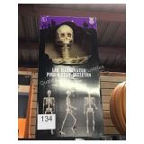 1 CTN LED SKELETON DECORATION