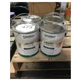 1 LOT COLOR PLACE CEILING PAINT