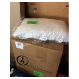 1 CTN BED PILLOWS