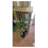 2 Live Plants and Wood Stand Aloe +