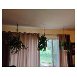 Various Faux Plants
