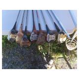 7 Golf Clubs + Retriever