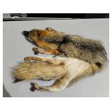 Fox Pelt Vintage Taxidermy Fashion