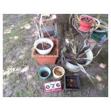 Assorted Flower Pots