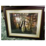 Forest picture 28x25