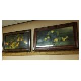 Lot of 2 large beautifully frame fruit prints