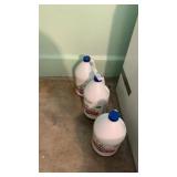 3 gallons of bleach