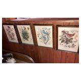 Set of 4 framed Audubon bird prints