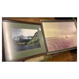 Two large wildlife pictures in frames