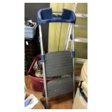 Cosco painting utility ladder