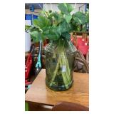 Glass jar with plants