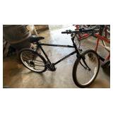 Schwinn sidewinder men