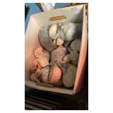 Box lot of conch and sea shells