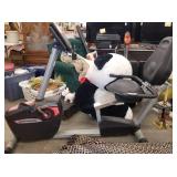 Schwinn 20 lb Steel Flywheel Resistance exercise