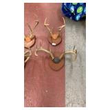 4 set of deer antlers