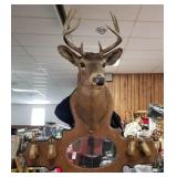 Nice vintage 8 pt mount with gun rack/coat holder