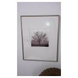 Signed Tree print 20"x 16"