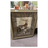 Stagg and doe print 34 inches x 28 inches