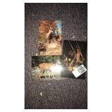 Vintage Buck hunting post cards