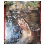Trout fly fishing poster 16x20