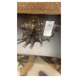 Heavy metal conch shell