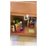 Contents under sink