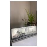 German tins and potted plant