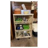 Shelves with Contents