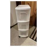 Portable Storage bin