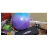 Exercise ball, and step stand