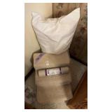 Dog Stairs and Pillow