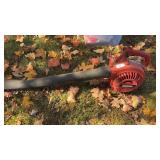 Shindaiwa Leaf Blower