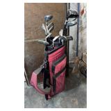 Assorted Golf Clubs with Bag