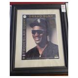 Michael Jordan Grand slam