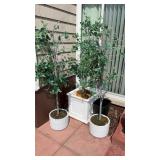 3 Planters
