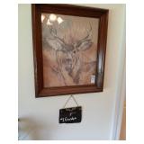 Whotetail buck lot