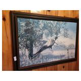 Pheasant picture