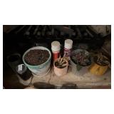 Lot of Planter Pots