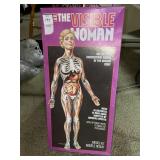 The visible woman dimensional human body model