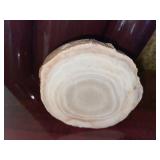 Agate  rock - fossil- 3.5 inches wide